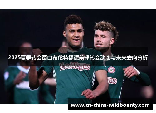 2025夏季转会窗口布伦特福德前锋转会动态与未来去向分析