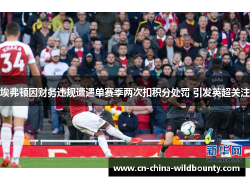 埃弗顿因财务违规遭遇单赛季两次扣积分处罚 引发英超关注