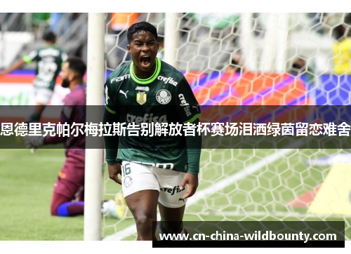 恩德里克帕尔梅拉斯告别解放者杯赛场泪洒绿茵留恋难舍