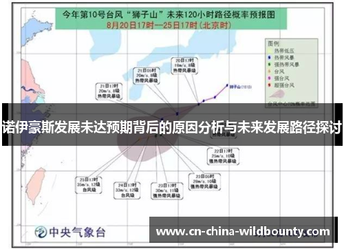 诺伊豪斯发展未达预期背后的原因分析与未来发展路径探讨