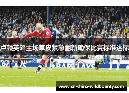 卢顿英超主场草皮紧急翻新确保比赛标准达标