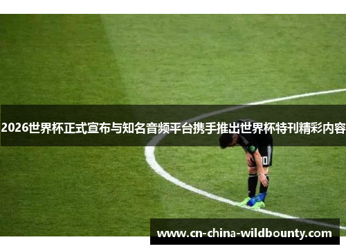 2026世界杯正式宣布与知名音频平台携手推出世界杯特刊精彩内容