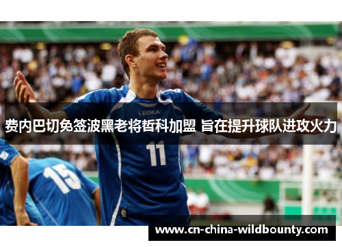 费内巴切免签波黑老将哲科加盟 旨在提升球队进攻火力 费内巴切免签波黑老将哲科加盟 旨在提升球队进攻火力