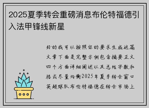 2025夏季转会重磅消息布伦特福德引入法甲锋线新星