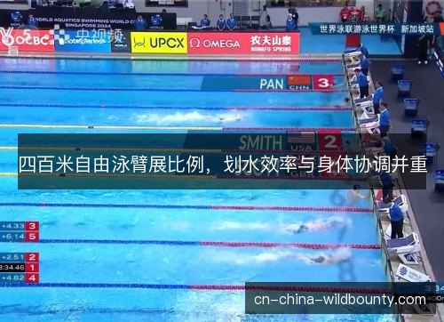 四百米自由泳臂展比例，划水效率与身体协调并重