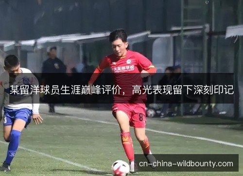 某留洋球员生涯巅峰评价,高光表现留下深刻印记 某留洋球员生涯巅峰评价,高光表现留下深刻印记