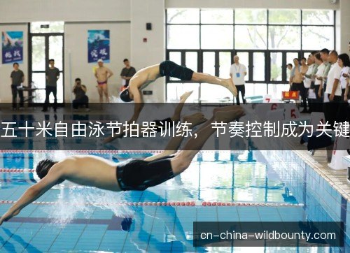 五十米自由泳节拍器训练，节奏控制成为关键